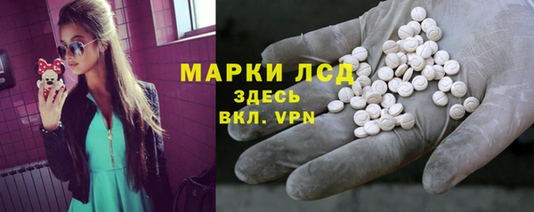 стафф Аркадак