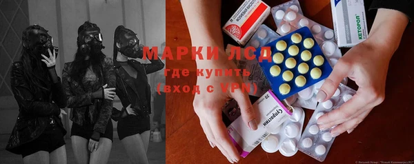 стафф Аркадак