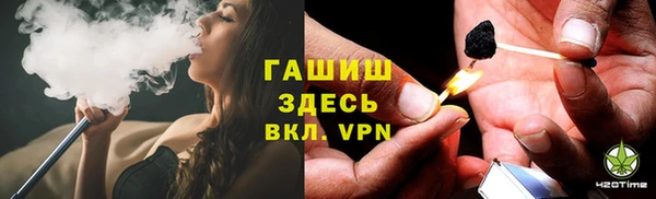 индика Касимов