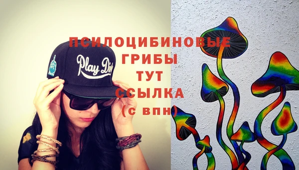 прущие крисы Армянск