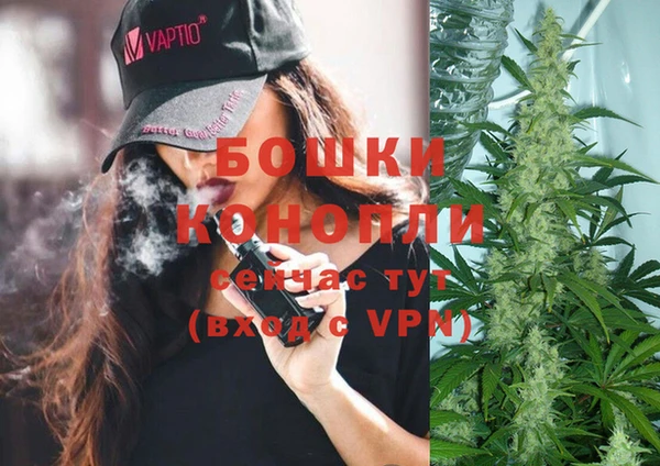 стафф Аркадак