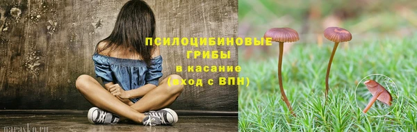 прущие крисы Армянск