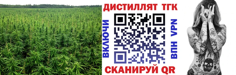 где купить наркоту  Лыткарино  ТГК THC oil 