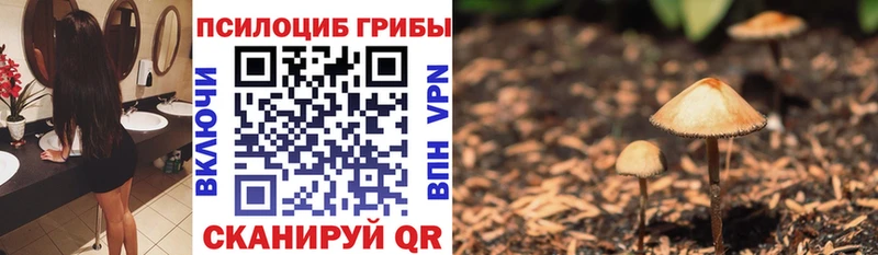 Галлюциногенные грибы Psilocybe  купить наркотик  Лыткарино 
