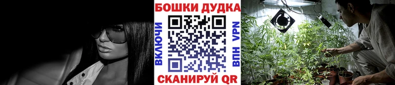 Бошки марихуана марихуана  Лыткарино 